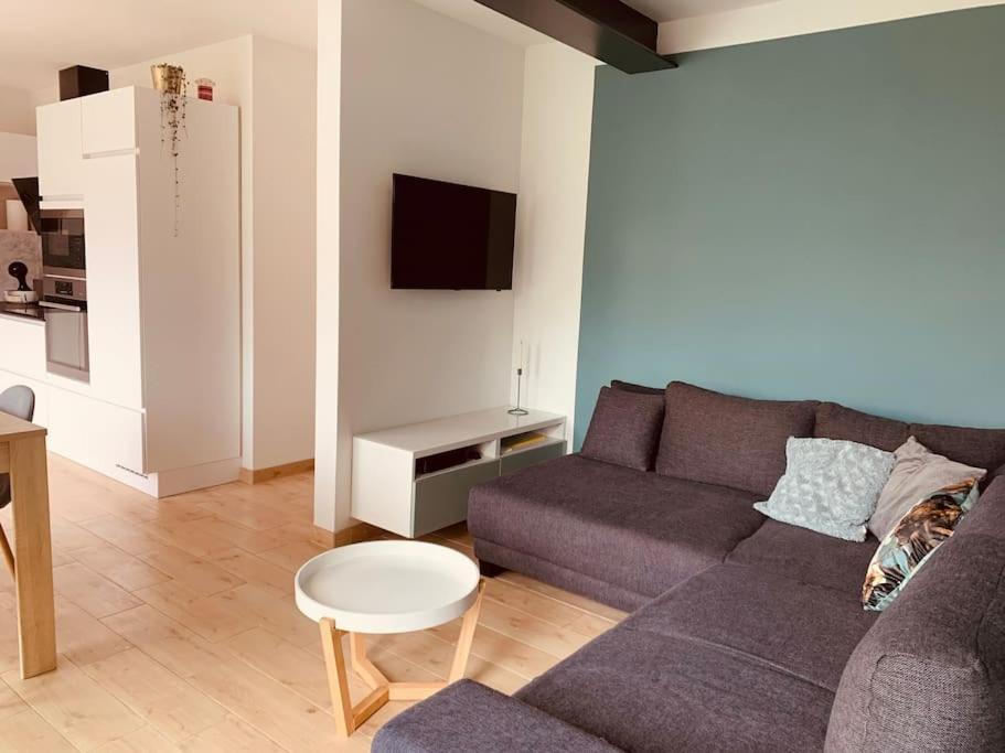 Maison En Plein Centre Avec Terrasse Et Jardin Vielsalm Extérieur photo